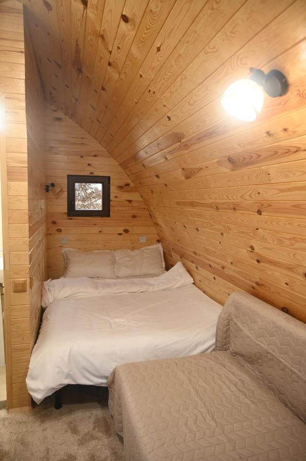 Casute In Mijlocul Naturii - Wild Camp 阿夫里格 外观 照片