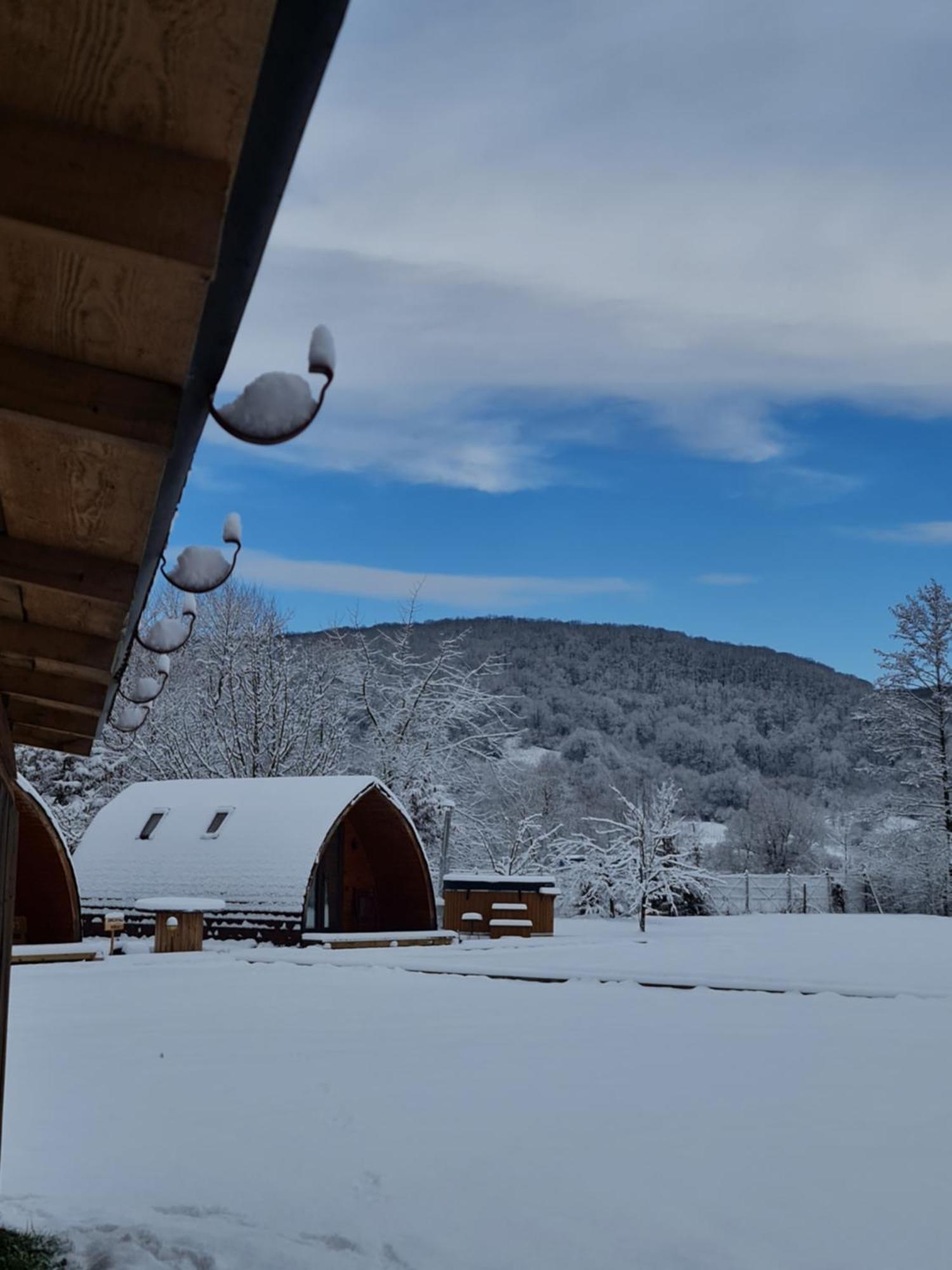 Casute In Mijlocul Naturii - Wild Camp 阿夫里格 外观 照片