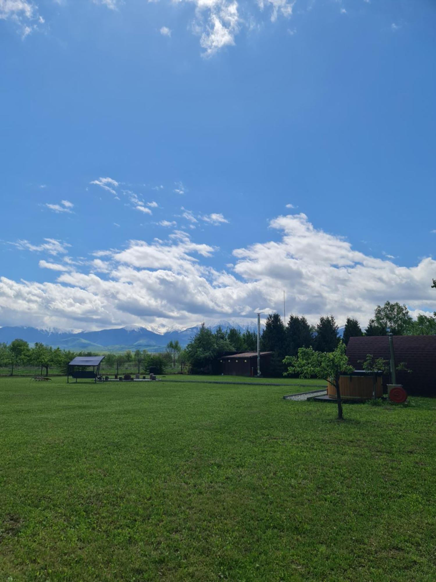 Casute In Mijlocul Naturii - Wild Camp 阿夫里格 外观 照片