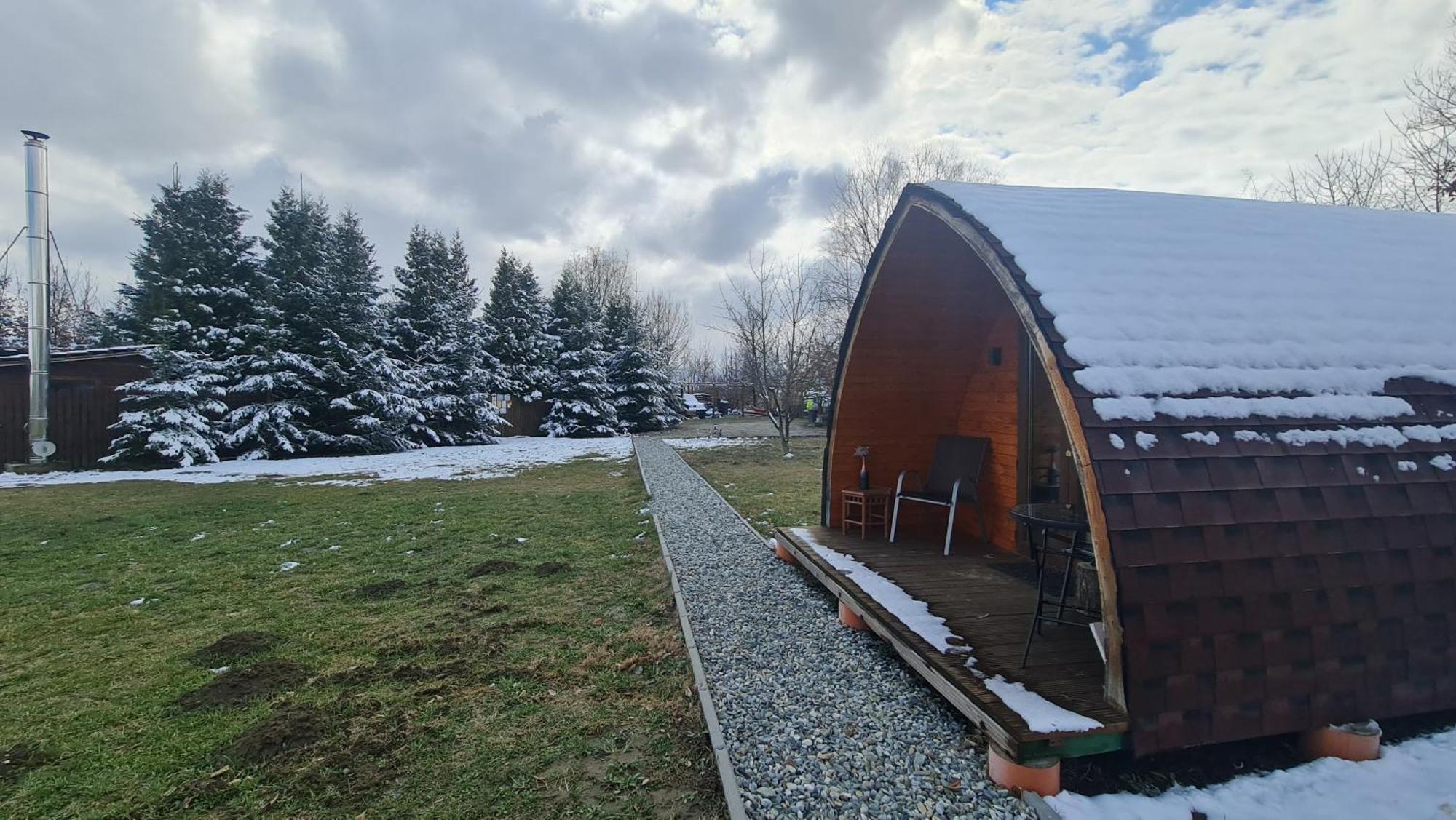 Casute In Mijlocul Naturii - Wild Camp 阿夫里格 外观 照片
